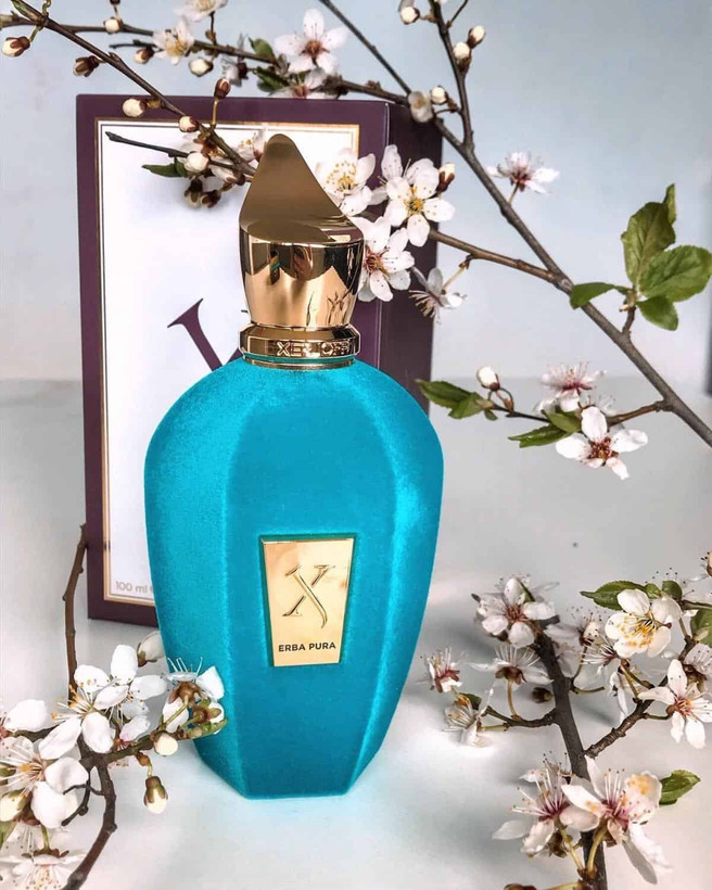 اسانس عطر ارباپورا